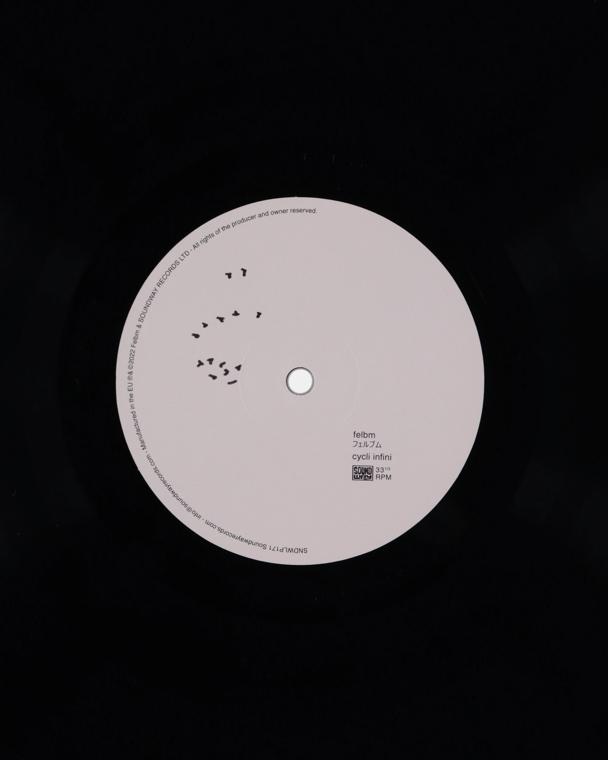 Cycli Infini Vinyl