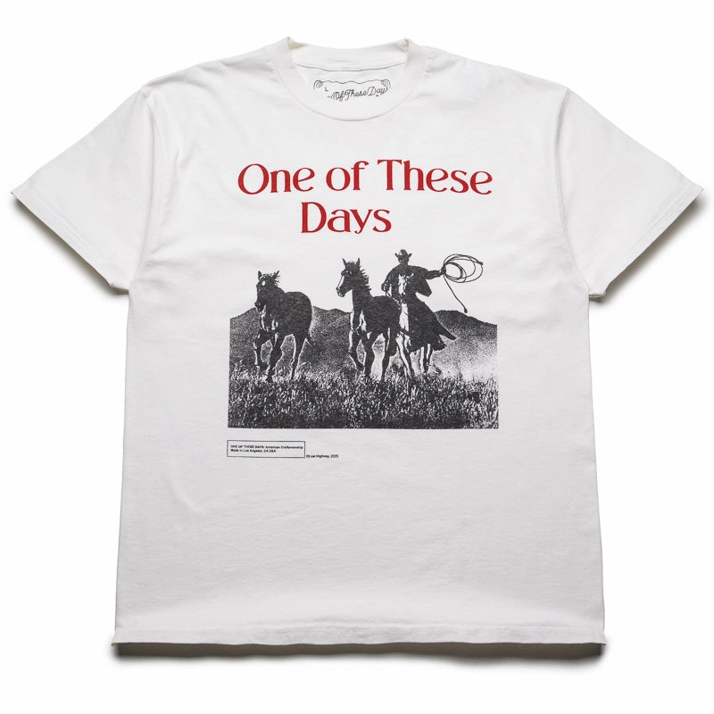 One Of These Days Across The Plains Tee - Bone