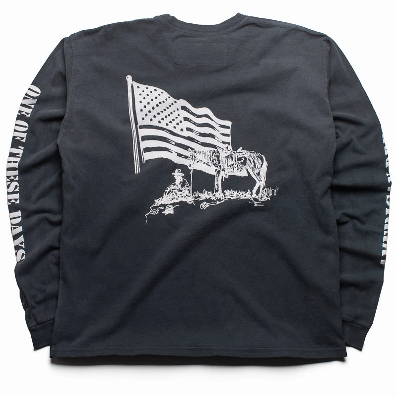 One Of These Days American Flag L/S Tee - Washed Black