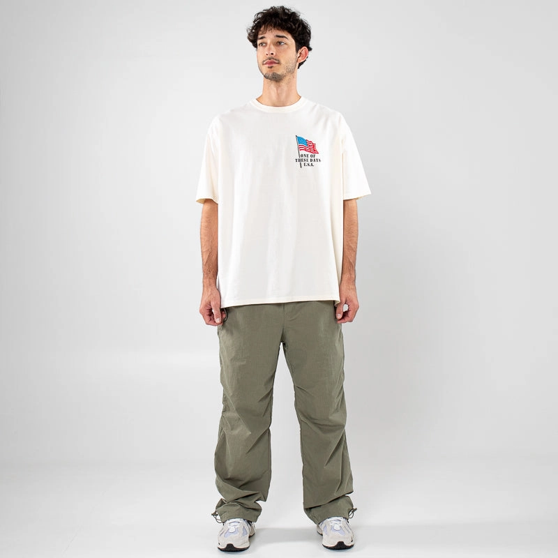 One Of These Days American Flag Tee - Bone